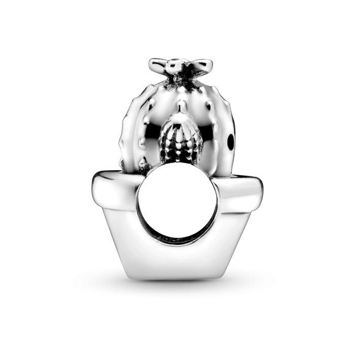 Korálik Pandora Moments