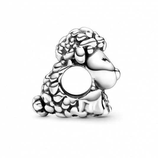 Korálik Pandora Moments