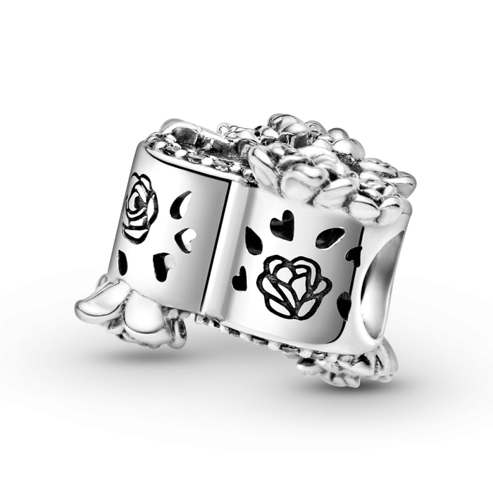 Korálik Pandora Moments