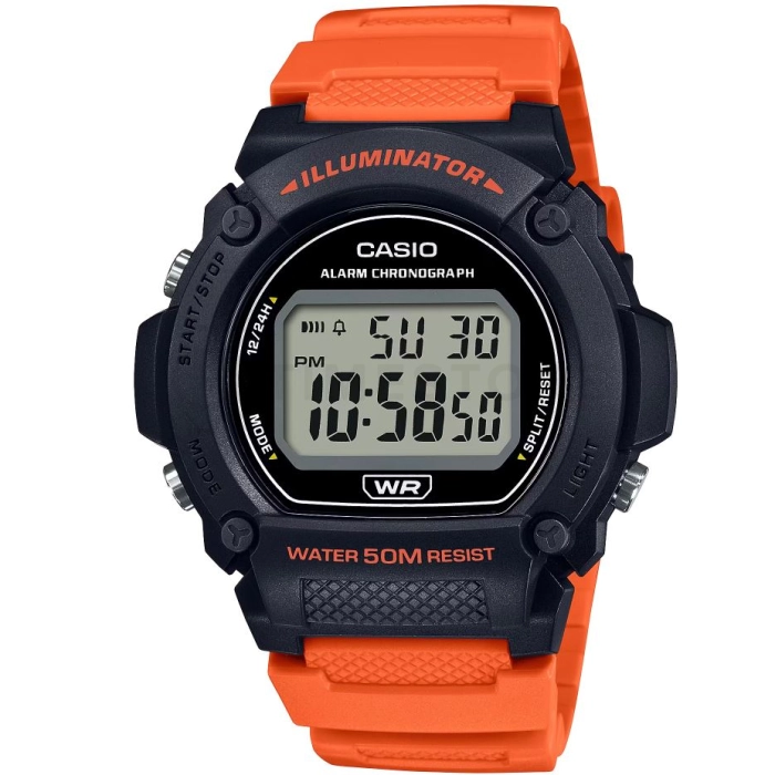 Casio Collection