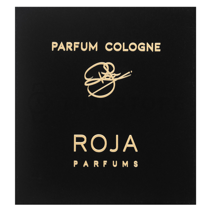 Roja Parfums Enigma kolínska voda pre mužov 100 ml