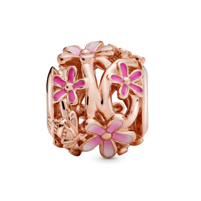 Korálik Pandora Moments