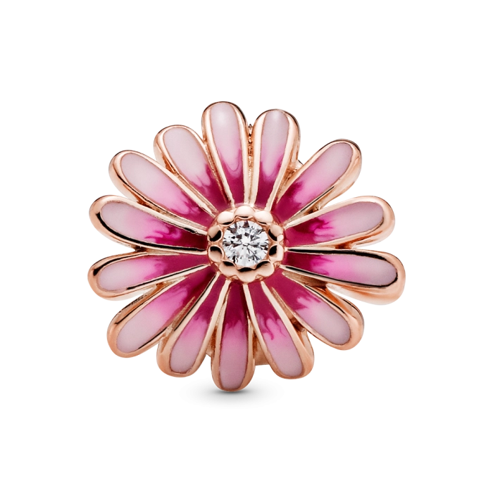 Charm Pandora Moments