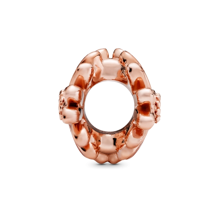 Charm Pandora Moments