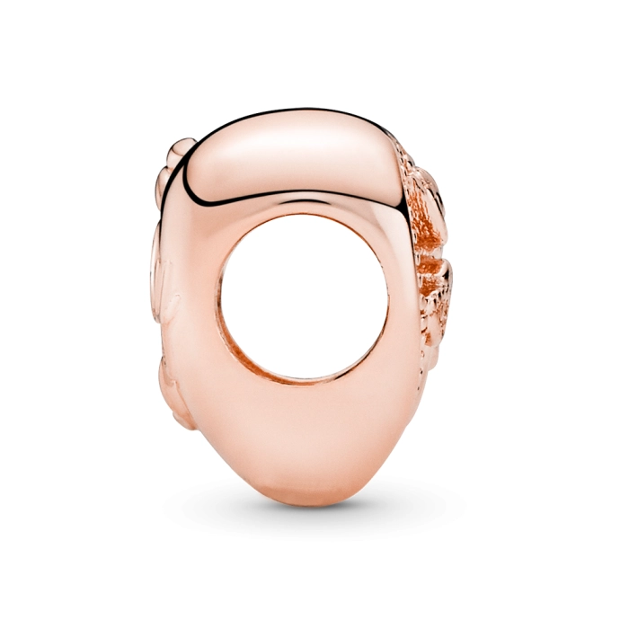 Korálek Pandora Moments