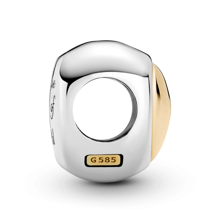 Korálik Pandora Moments