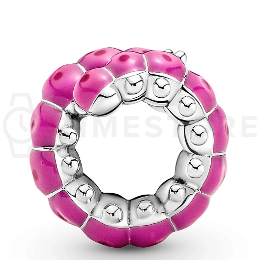 Korálik Pandora Moments