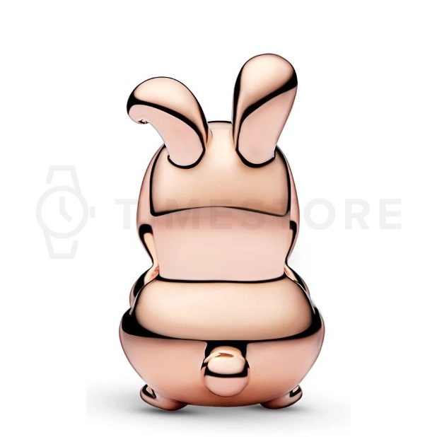 Korálik Pandora Moments