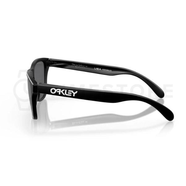 Oakley Frogskins PRIZM Polarized
