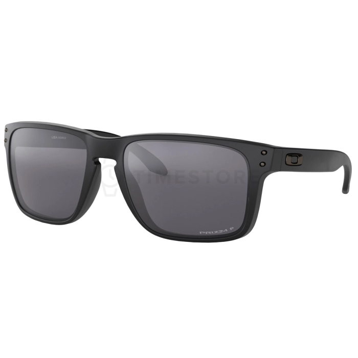 Oakley Holbrook PRIZM Polarized