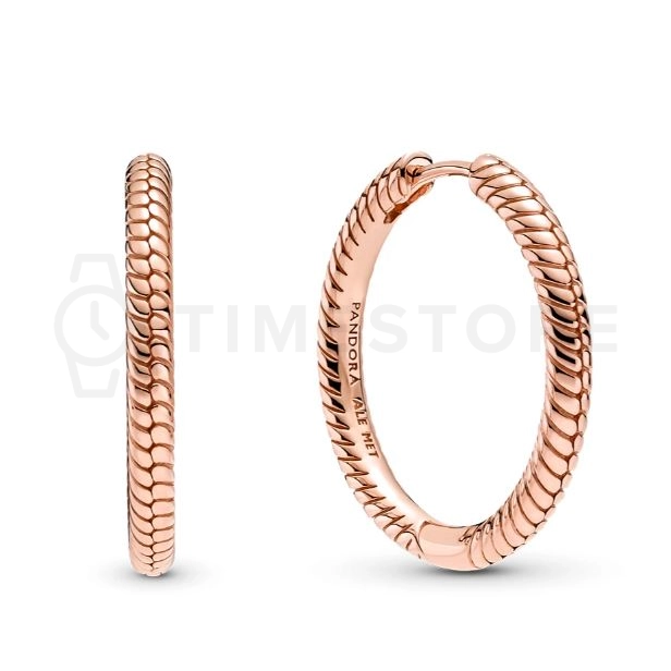 Uhani Pandora Moments