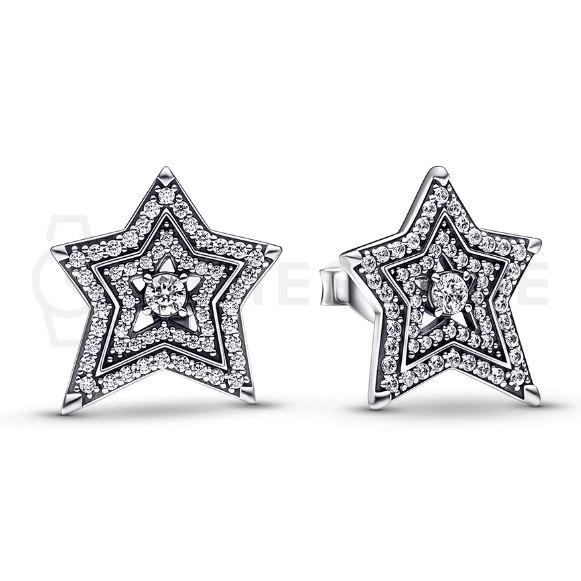 Naušnice Pandora Moments