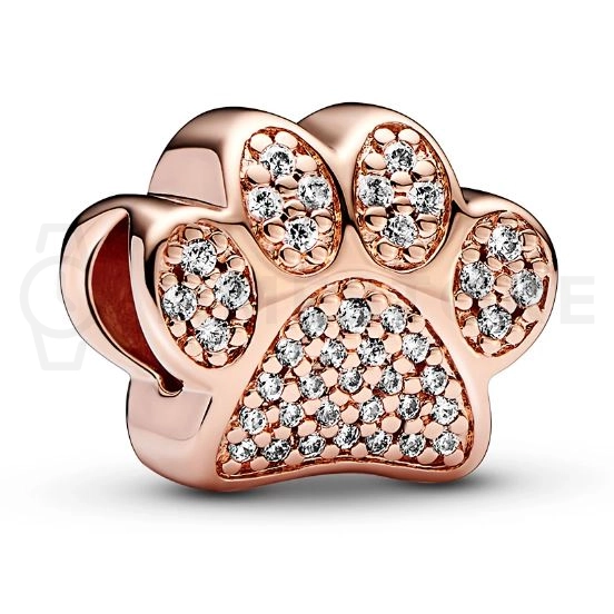 Korálik Pandora Moments