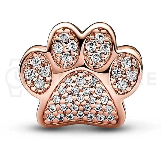 Korálik Pandora Moments