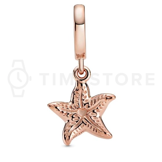 Prívesok Pandora Moments