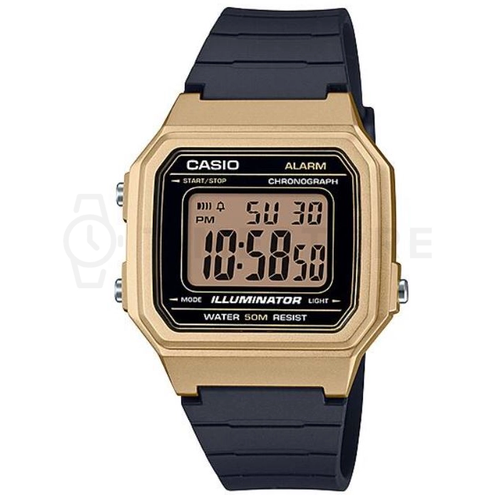 Casio Collection