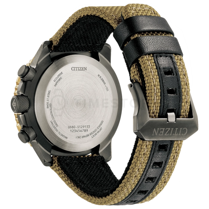 Citizen Promaster