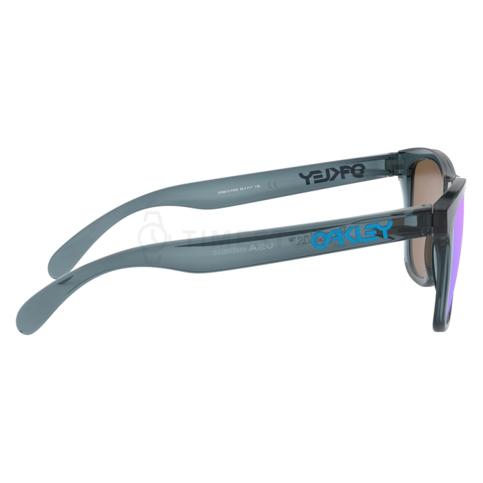 Oakley Frogskins PRIZM Polarized