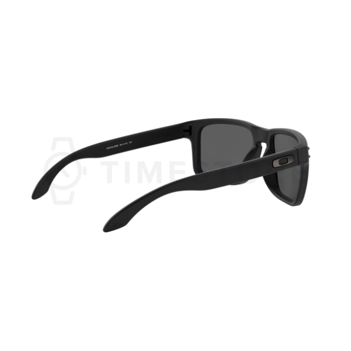 Oakley Holbrook PRIZM Polarized