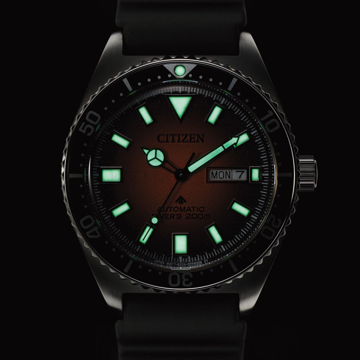 Citizen Promaster