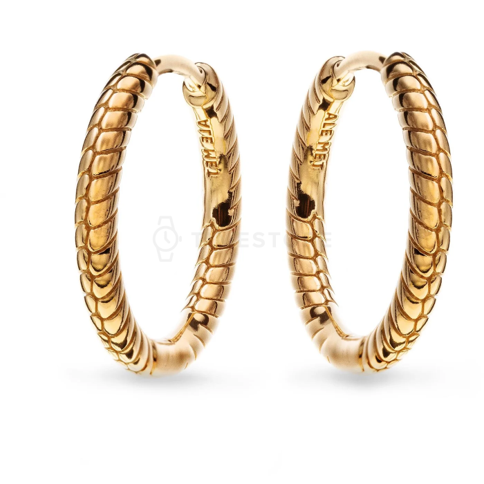 Náušnice Pandora Moments