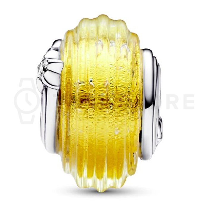 Charms Pandora Moments