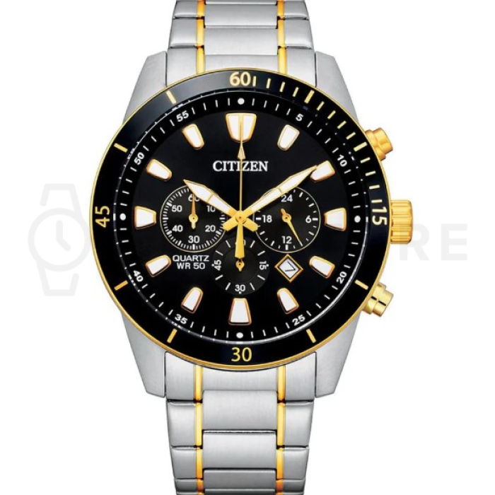 Citizen Promaster