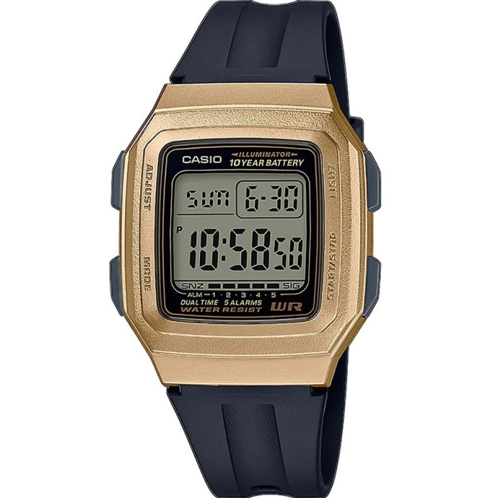 Casio Vintage