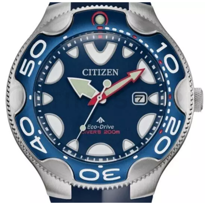 Citizen Promaster