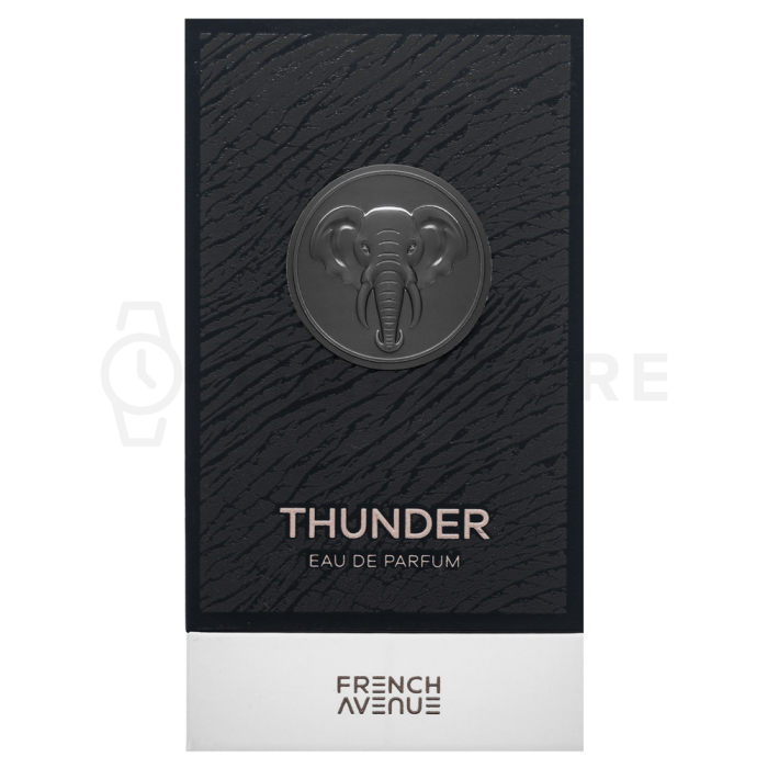 French Avenue Thunder parfémovaná voda pro muže 100 ml
