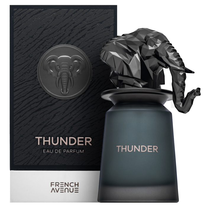French Avenue Thunder parfémovaná voda pro muže 100 ml