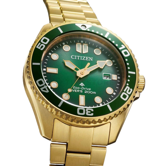 Citizen Promaster
