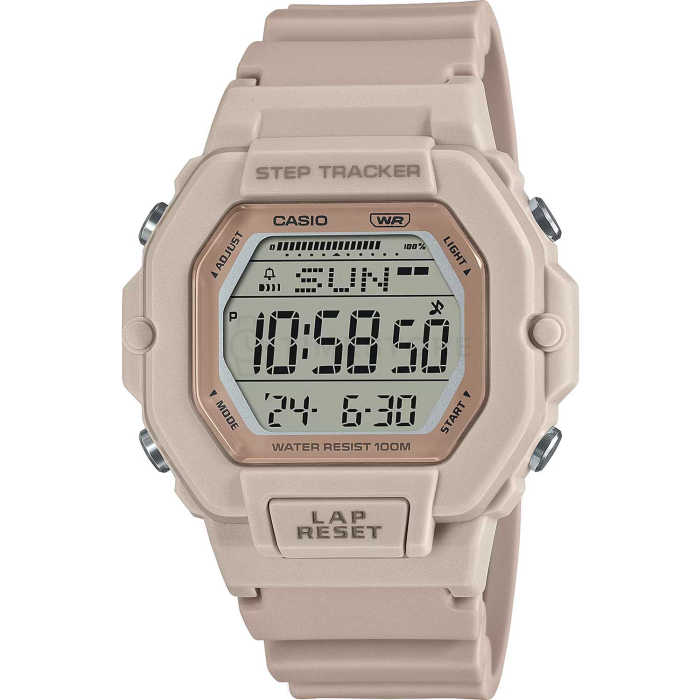 Casio Classic