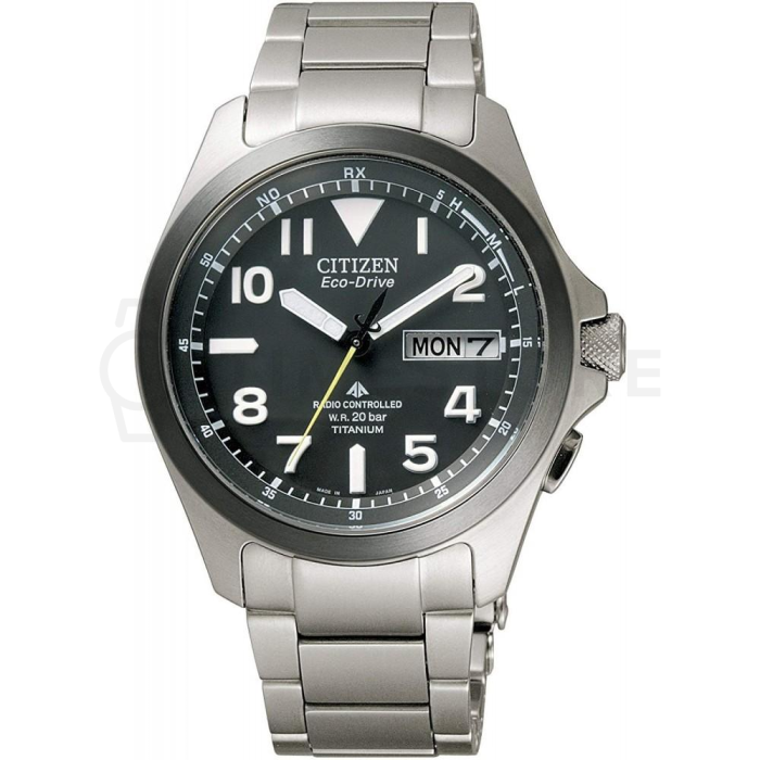 Citizen Promaster