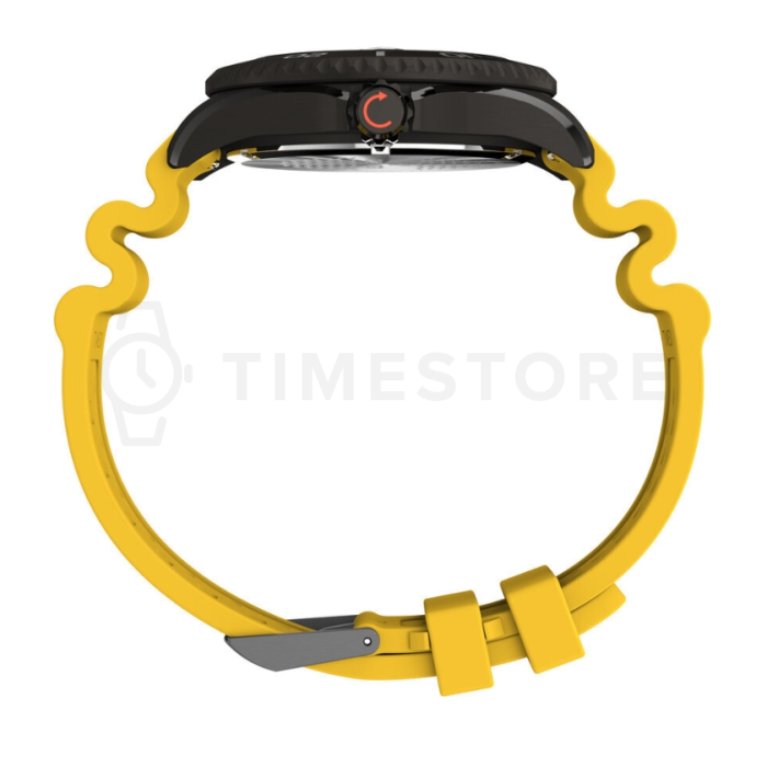 Timex Deepwater Meridian