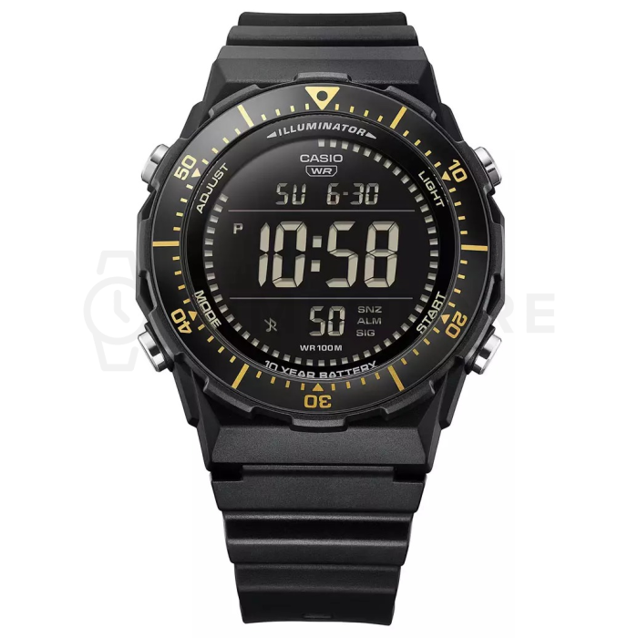 Casio Timeless
