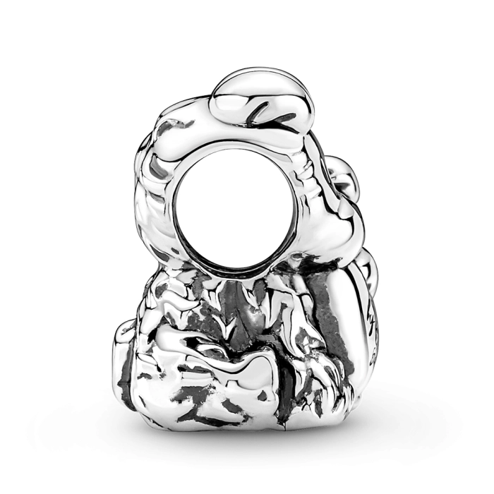 Charm Pandora Moments