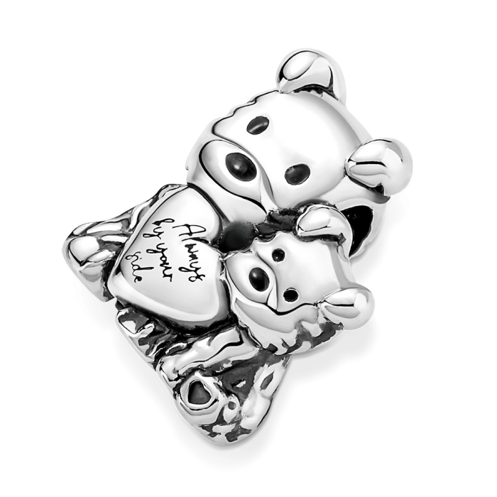 Charm Pandora Moments