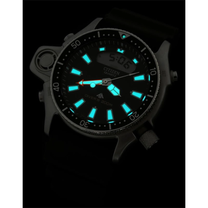 Citizen Promaster
