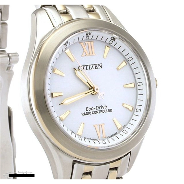 Citizen Radio Controlled