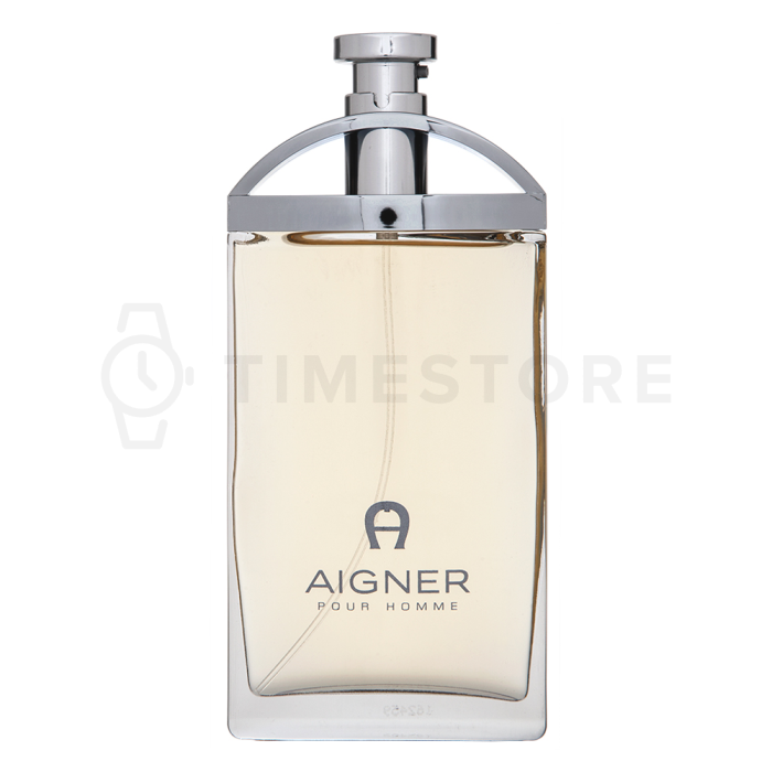 Aigner Pour Homme toaletná voda pre mužov 100 ml
