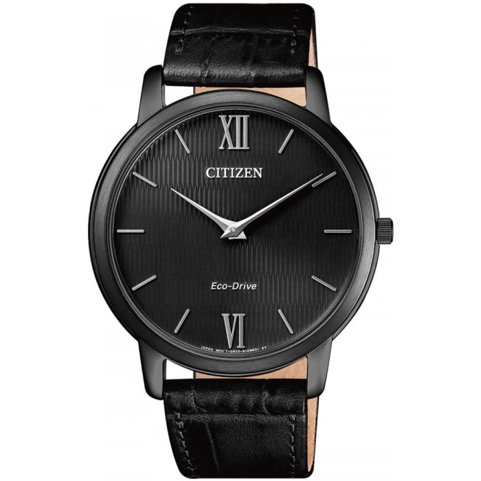 Citizen Stiletto