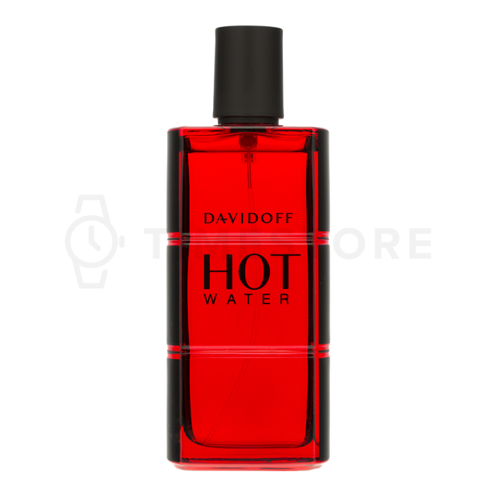Davidoff Hot Water toaletná voda pre mužov 110 ml
