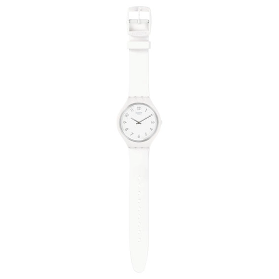 Swatch Skinsnow