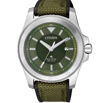 Citizen Promaster