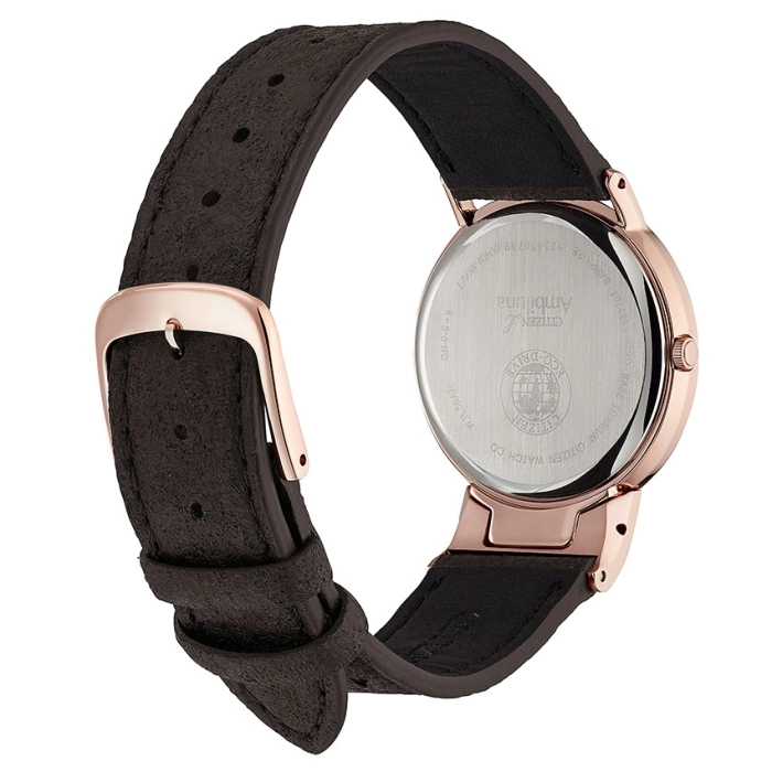 Citizen Super Titanium