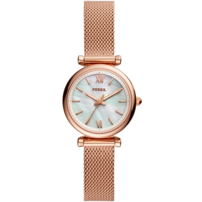Fossil Carlie