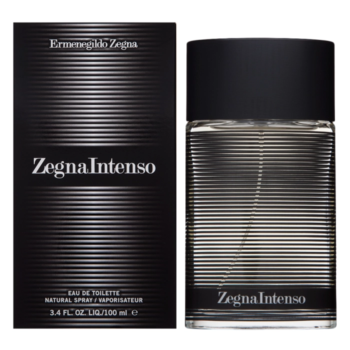 Ermenegildo Zegna Intenso toaletná voda pre mužov 100 ml
