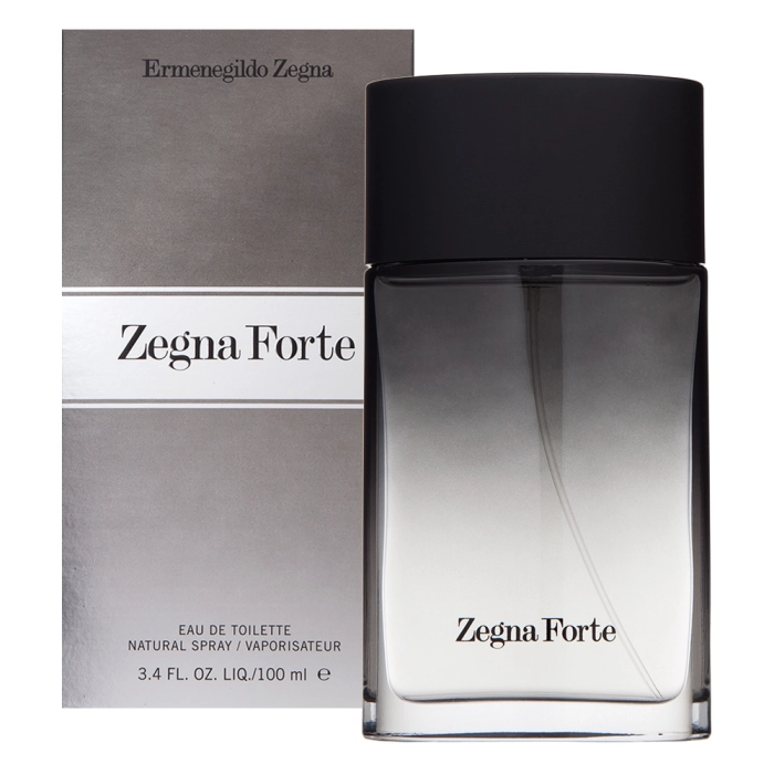 Ermenegildo Zegna Zegna Forte toaletná voda pre mužov 100 ml