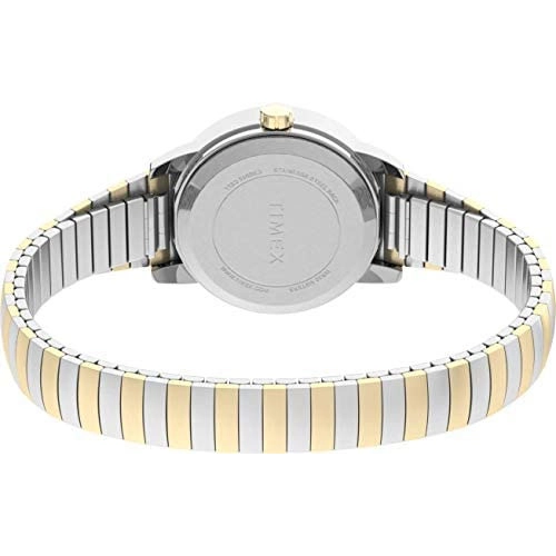 Timex Easy Reader Expansion